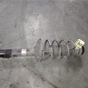 Amortiguador Delantero Derecho Volkswagen Golf IV Berlina (1J1)(10.1997->2004) 1.9 TDI - 546535