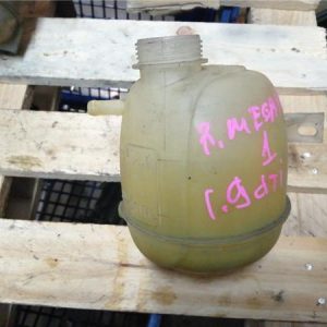 Botella Expansion Renault MEGANE I (BA0/1_) 1.9 DCi - 131451