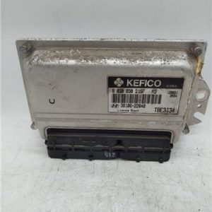 Centralita Hyundai Getz (TB)(2002->) 1.3 i - 326592