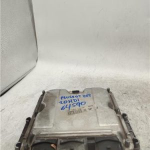 Centralita Peugeot 206 (1998->) 2.0 HDI 90 - 418480