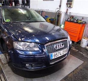 Palier Delantero Derecho Audi A3 (8P1)(05.2003->) 2.0 TDI 16V - 551956