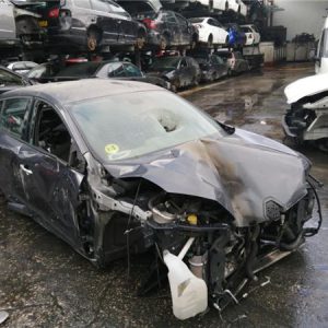 Palier Delantero Izquierdo Renault MEGANE III Fastback (BZ0_) 1.5 dCi - 12277