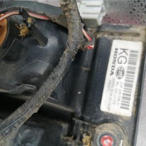 Piloto Trasero Izquierdo Honda CR-V (RD8)(2002->) 2.2 CTDi - 551912