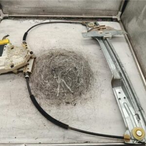 Elevalunas Electrico Derecho Citroen C4 Coupe (2004->) 1.6 HDi - 591159
