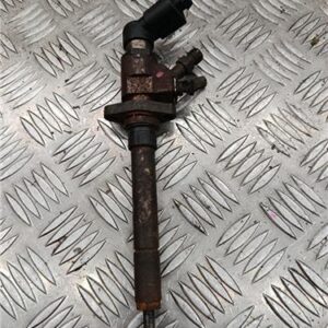 Inyector Citroen - 591312
