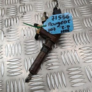 Inyector Peugeot 307 (3A/C) 2.0 HDi 90 - 592112