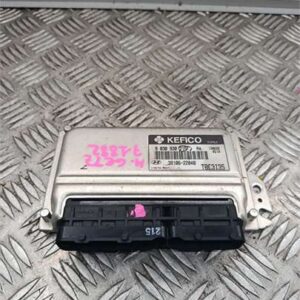 Centralita Hyundai Getz (TB)(2002->) 1.3 i - 601268
