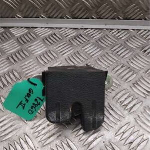 Cerradura Porton Volkswagen Golf V (1K1)(10.2003->2008) 1.9 TDI - 633993